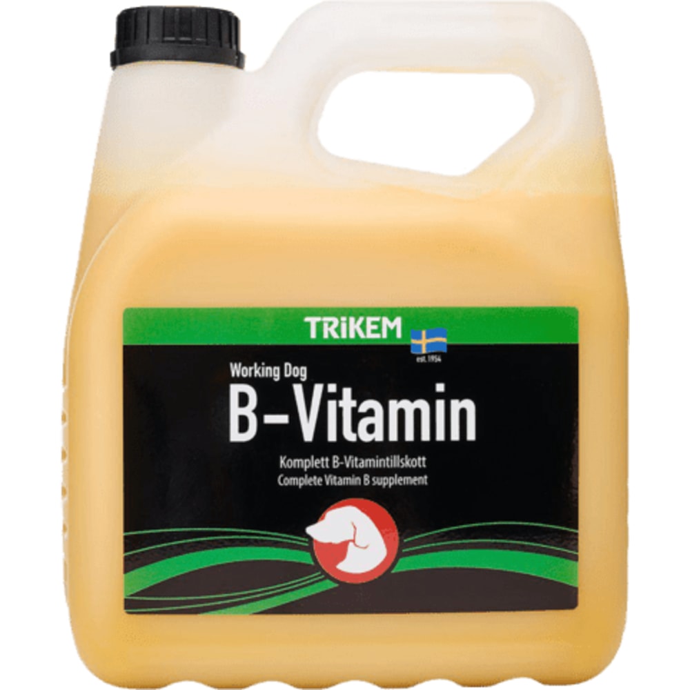 B-Vitamin 3000 ml / 1765540