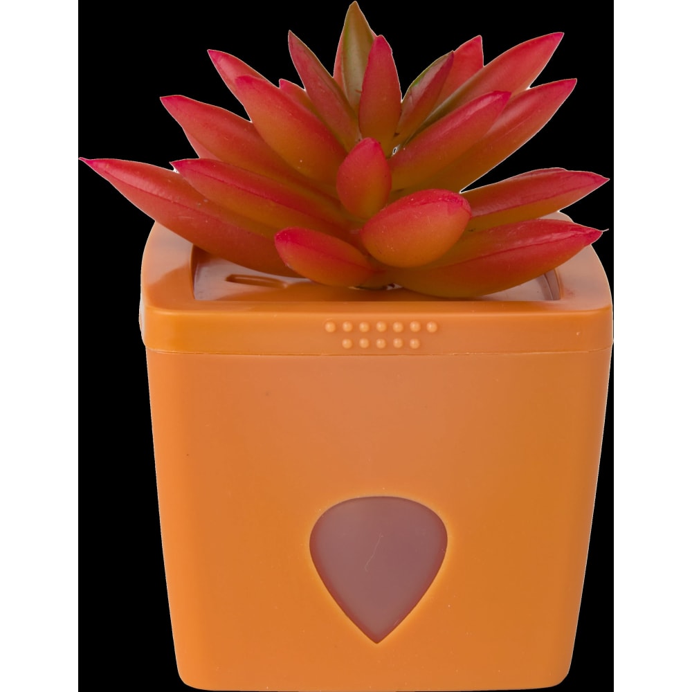 Bananfluefælde Joyful Janet, 1770954