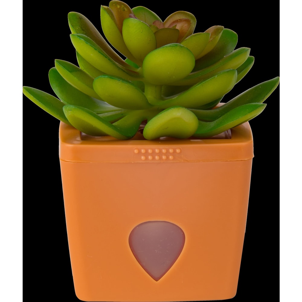 Bananfluefælde Serene Sandy, 1770956