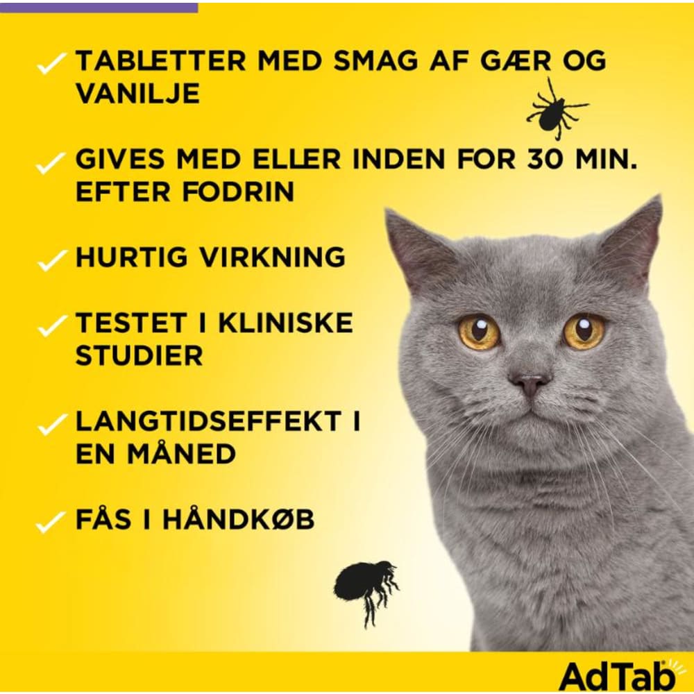 AdTab Cat 48MG X3BLCD / 1772580