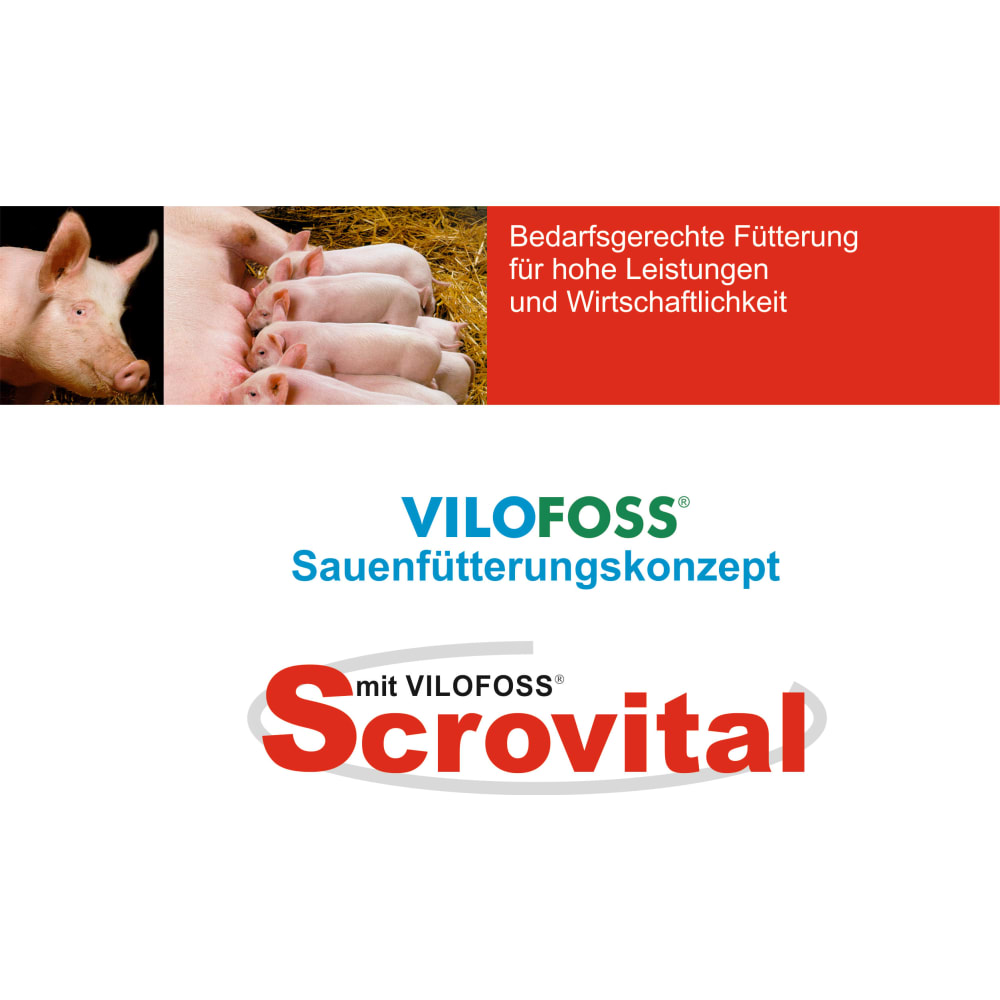 Vilofoss Scrovital Zuchtsauen Fütterung Futter Leistung Energie Geburt