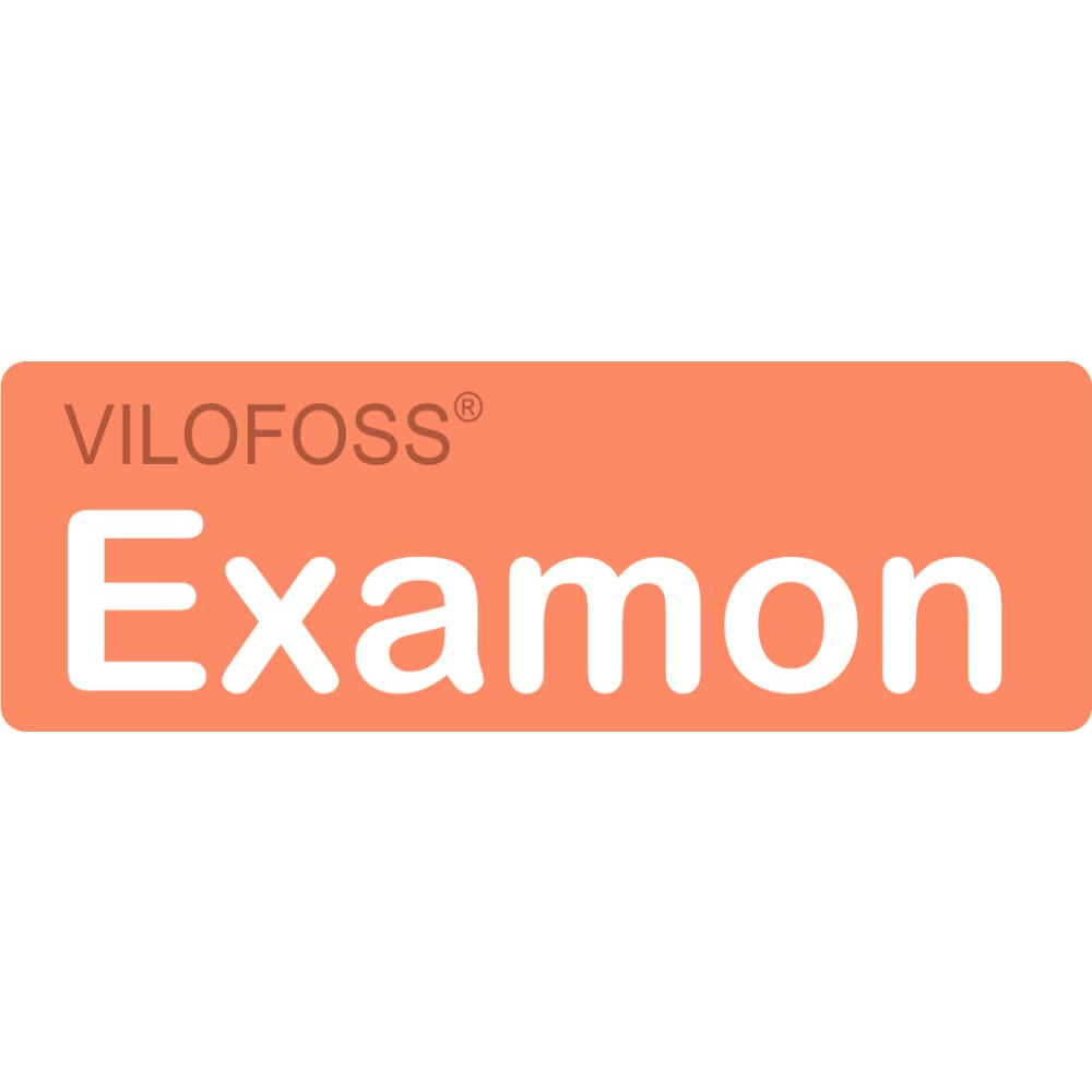 Examon Logo