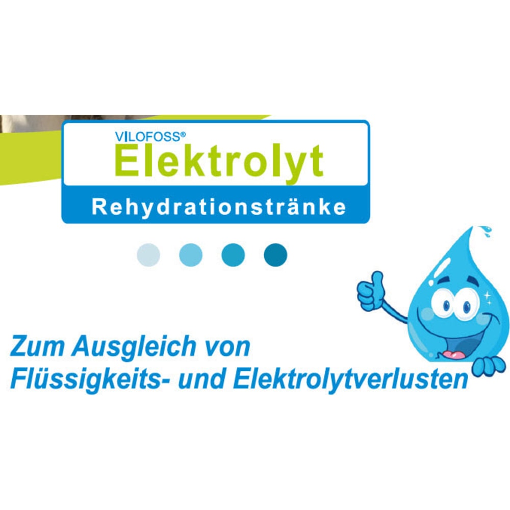 Vilofoss Elektrolyt 