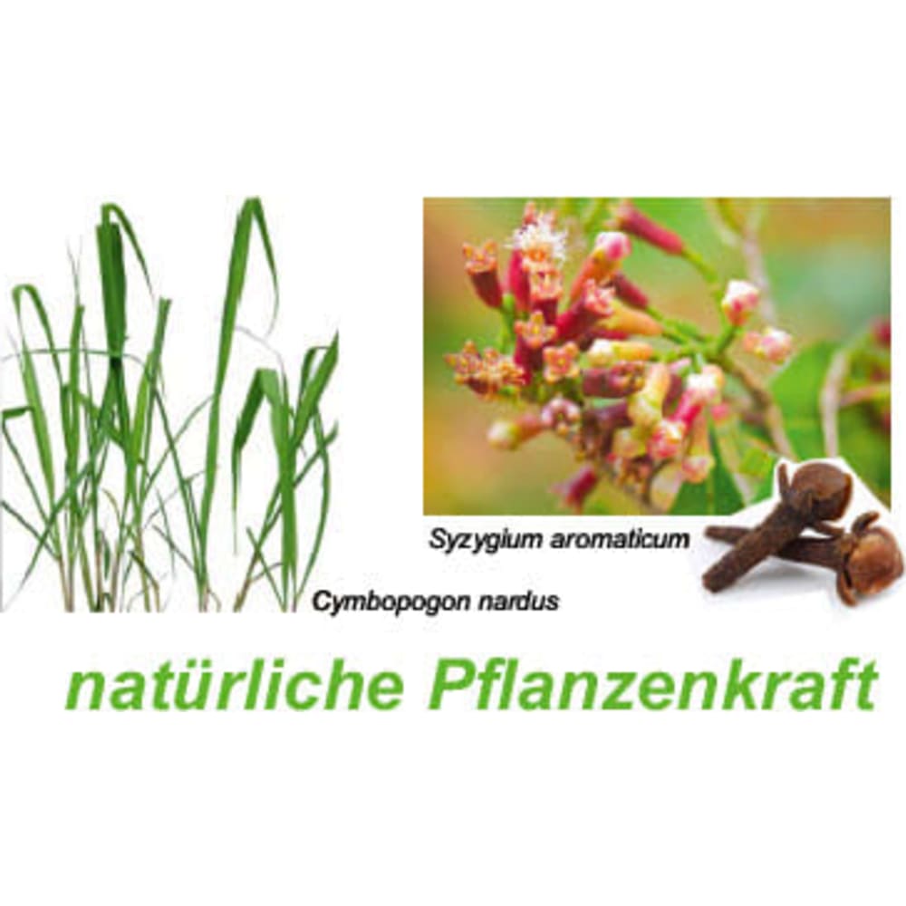 Meidfly Plfanzenkraft in Leckmasse zur Fliegenabwehr