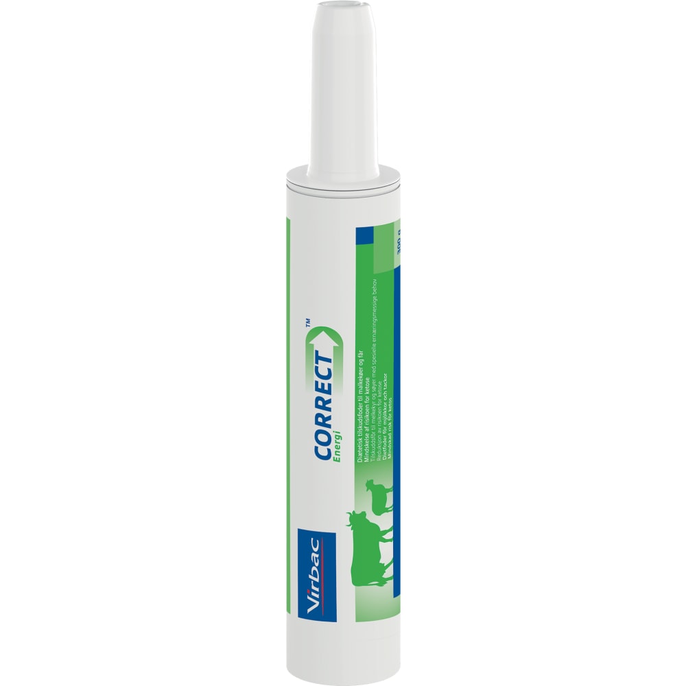 Correct Energi 300 g