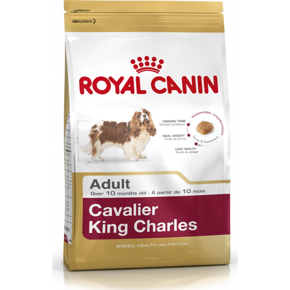 BHN Cavalier King Charles 7,5 kg.