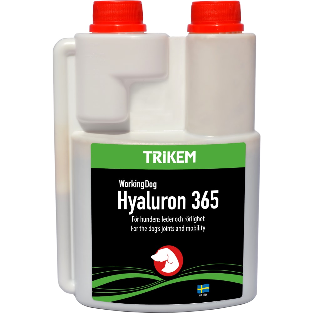 Hyaluron 365 500 ml
