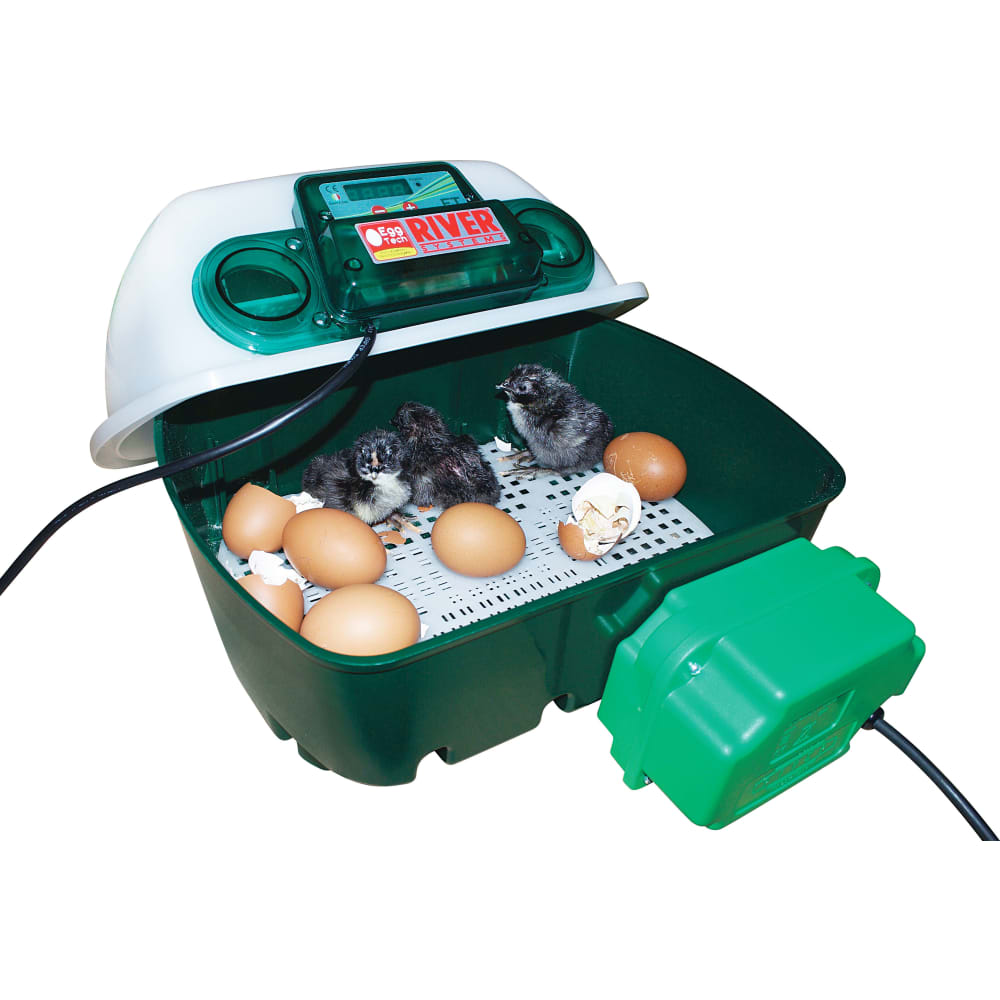 Rugemaskine med autovending, 12 æg