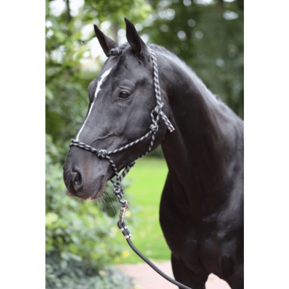 1763771 - Covalliero rebgrime, sort/grå, str Full