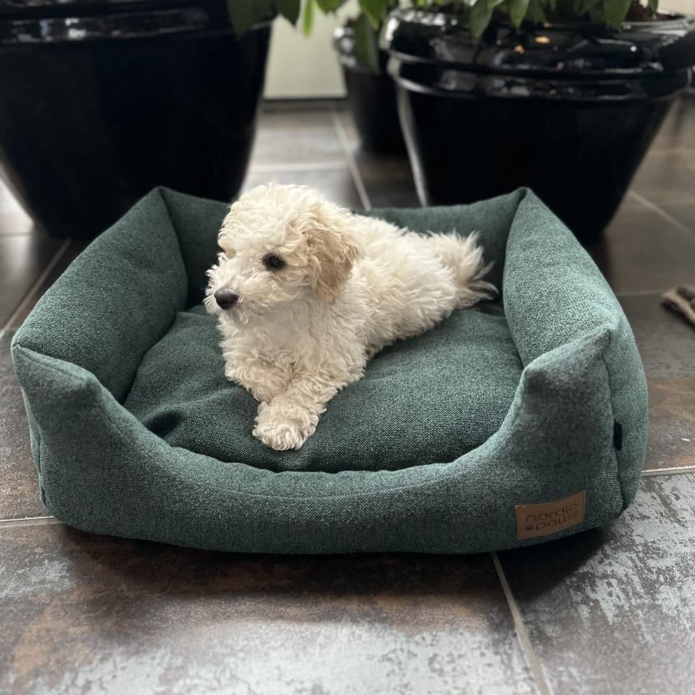 Nordic Paws Pine Hundeseng