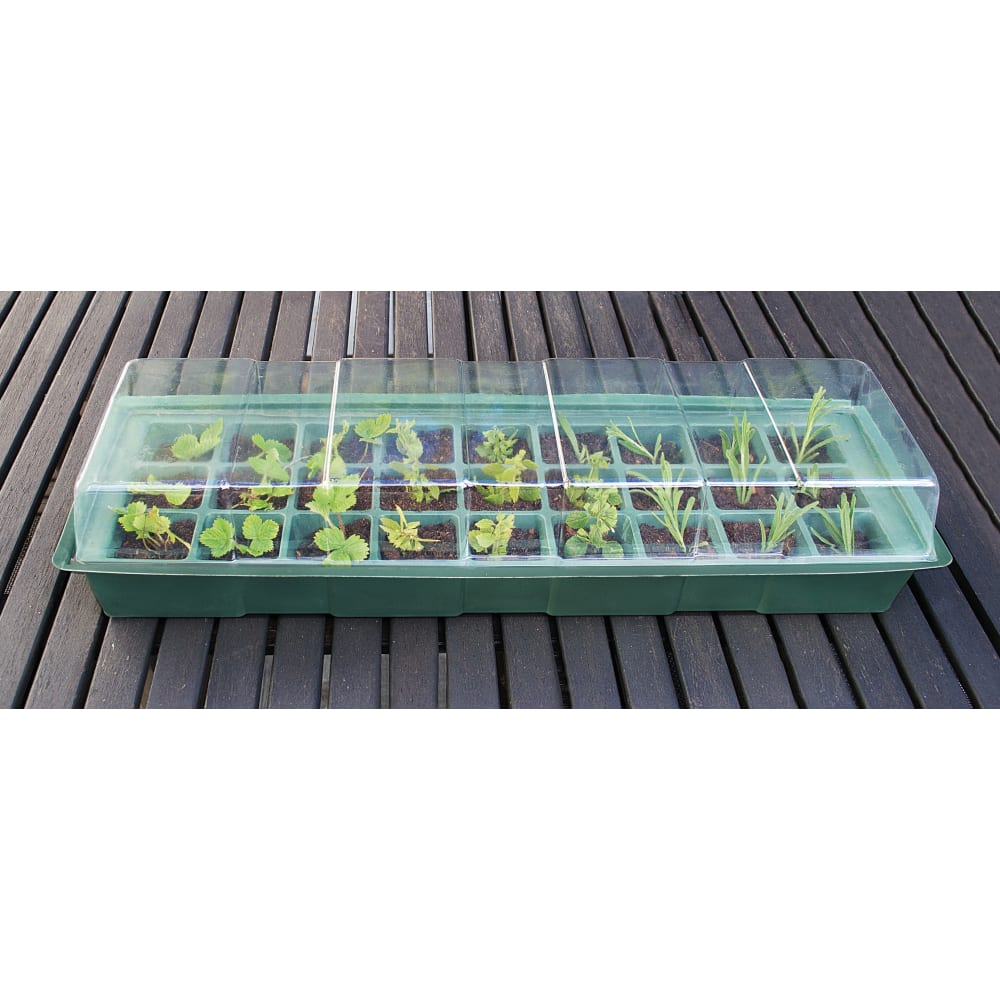 Ryom Minidrivhus M/27 Rum 50X16X15Cm