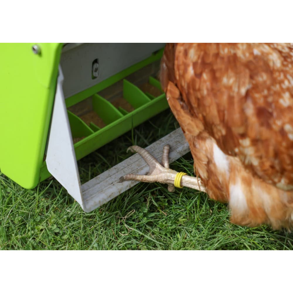 SmartCoop foderautomat med top 7,5 kg