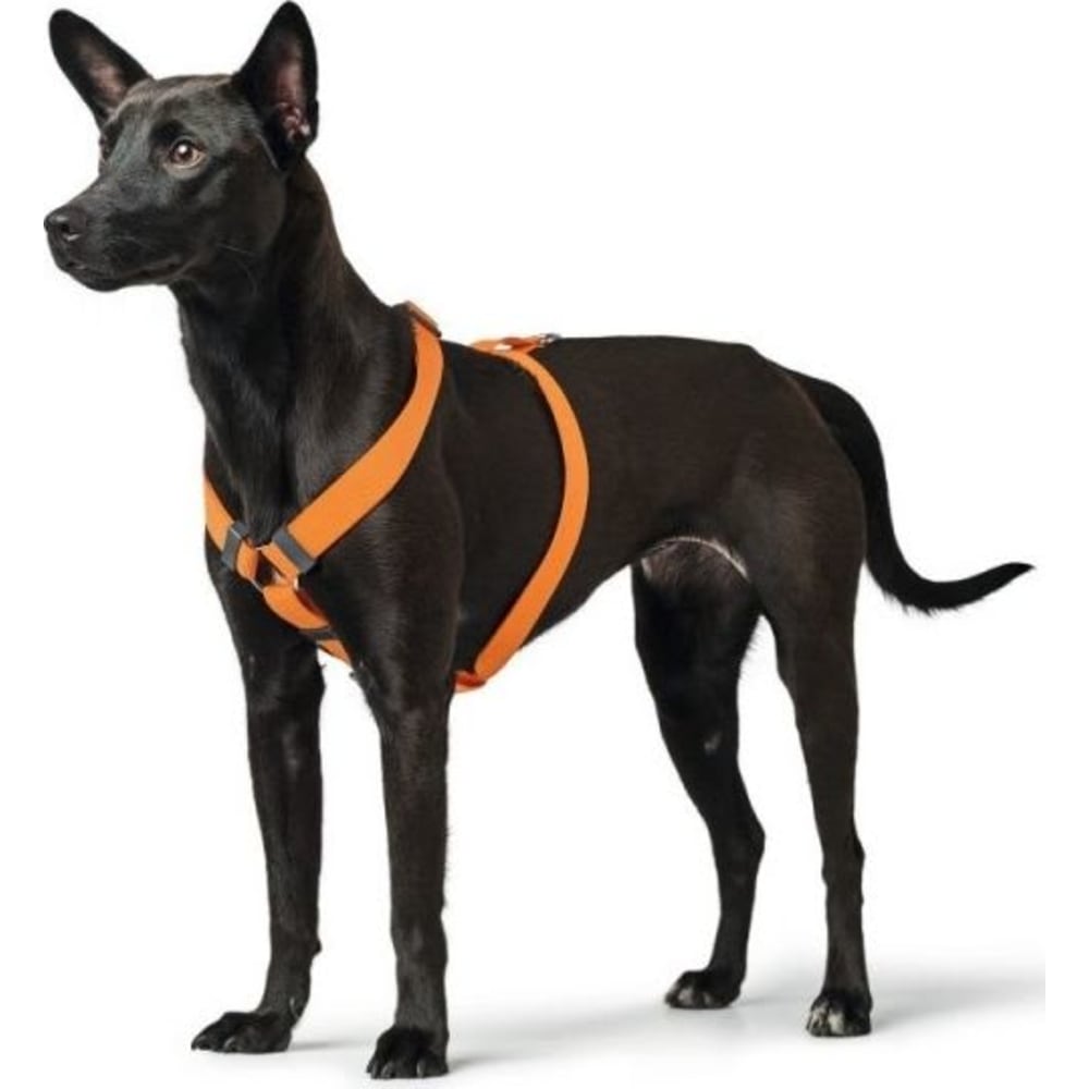 H.Sele London VR, Orange