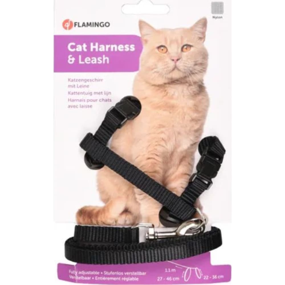 Katteseleline Ziggi, Sort