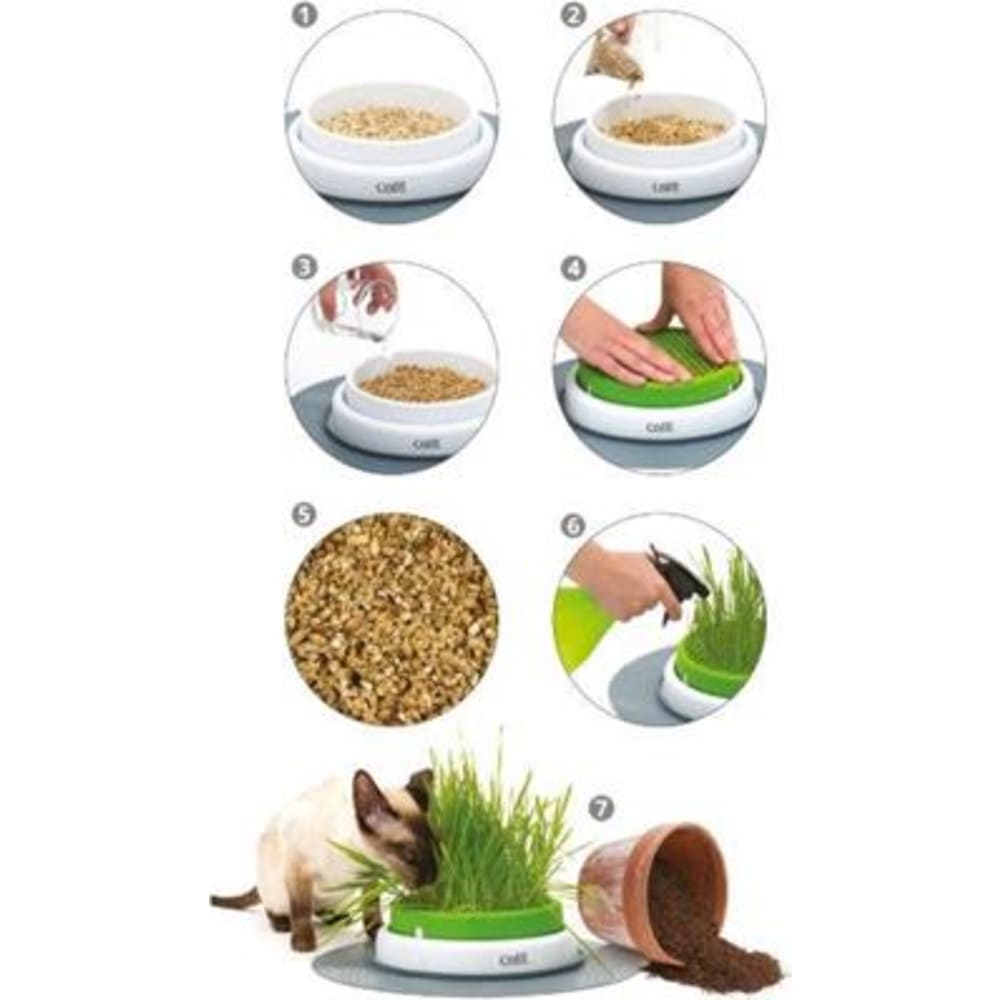 Catit Senses 2.0 grass planter, 24x24x13 cm
