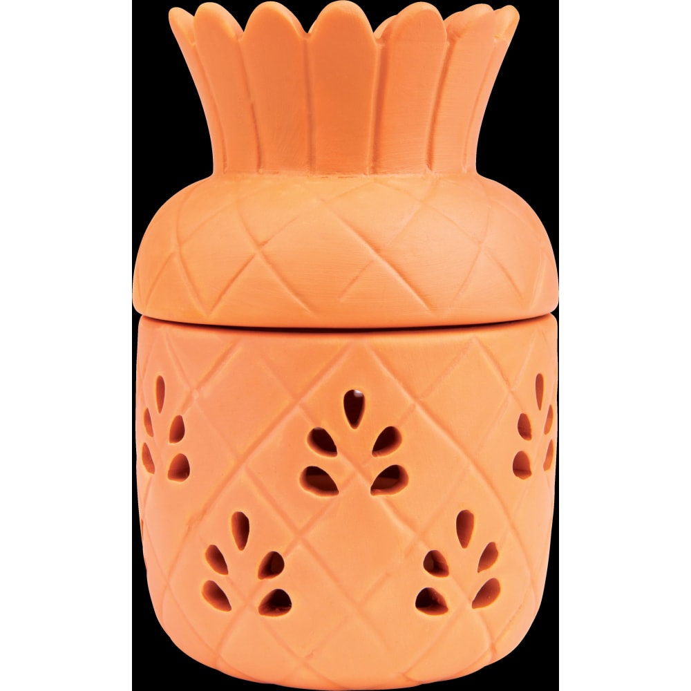 Lanterne & Citronella lys