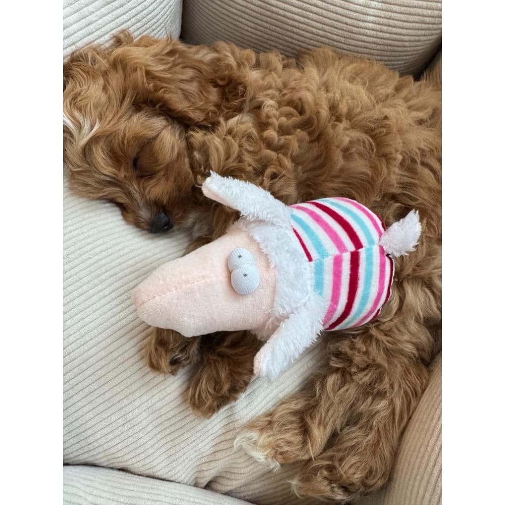 Nordic Paws Legetøj Woolly, 17cm