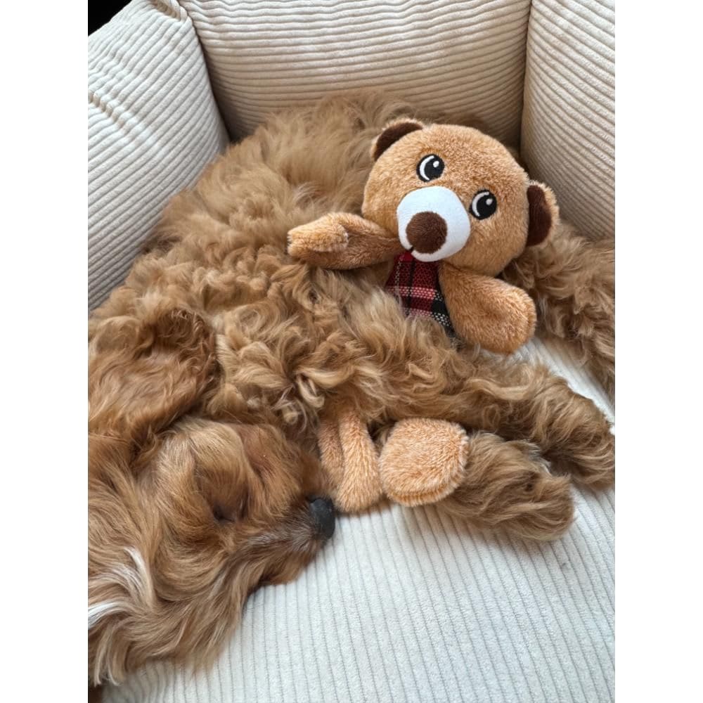 Nordic Paws Legetøj Knitre Bamse, 20cm