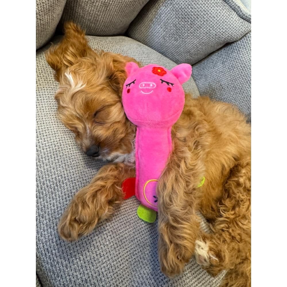 Nordic Paws Legetøj Langhals Gris, 17cm