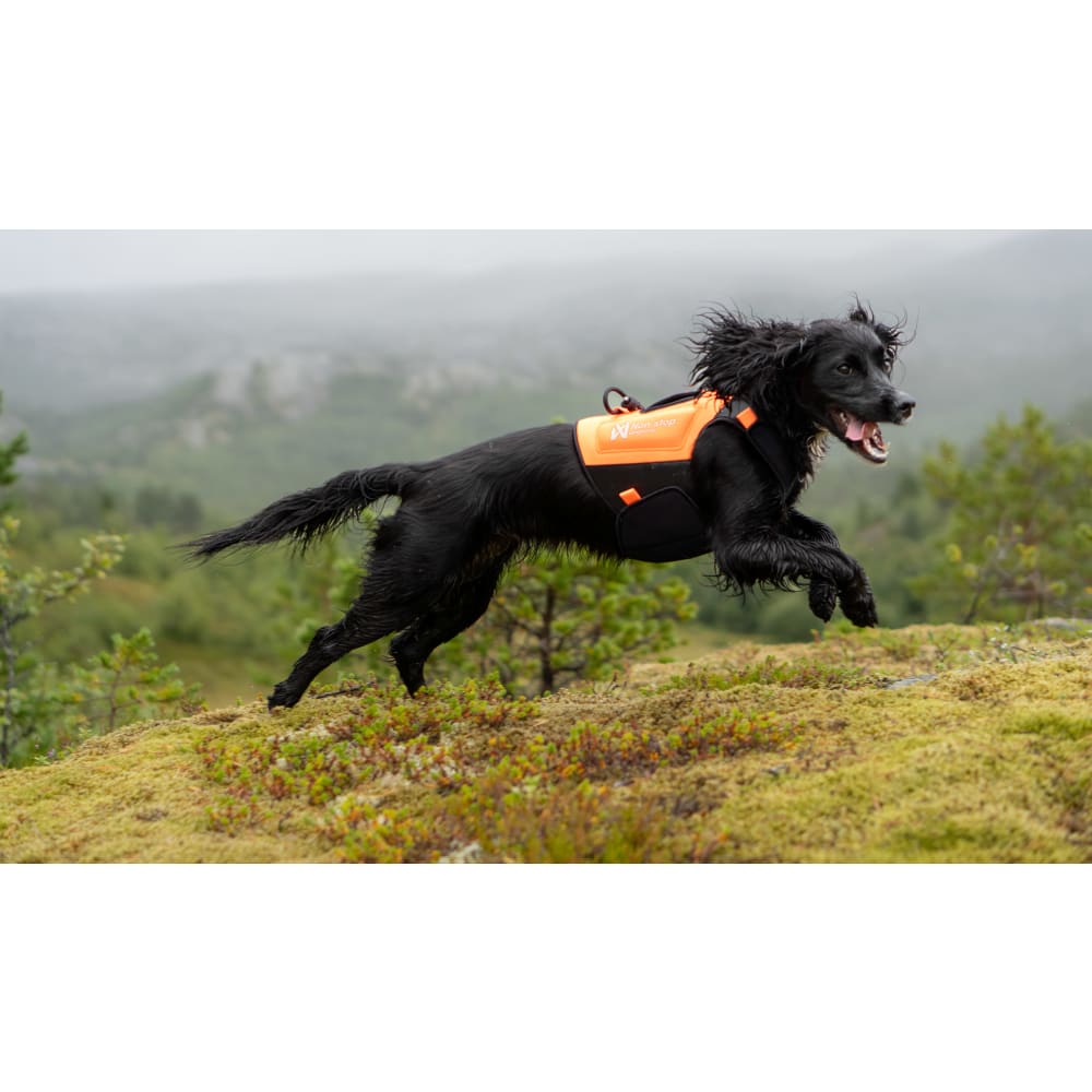 Protector neopren vest, orange