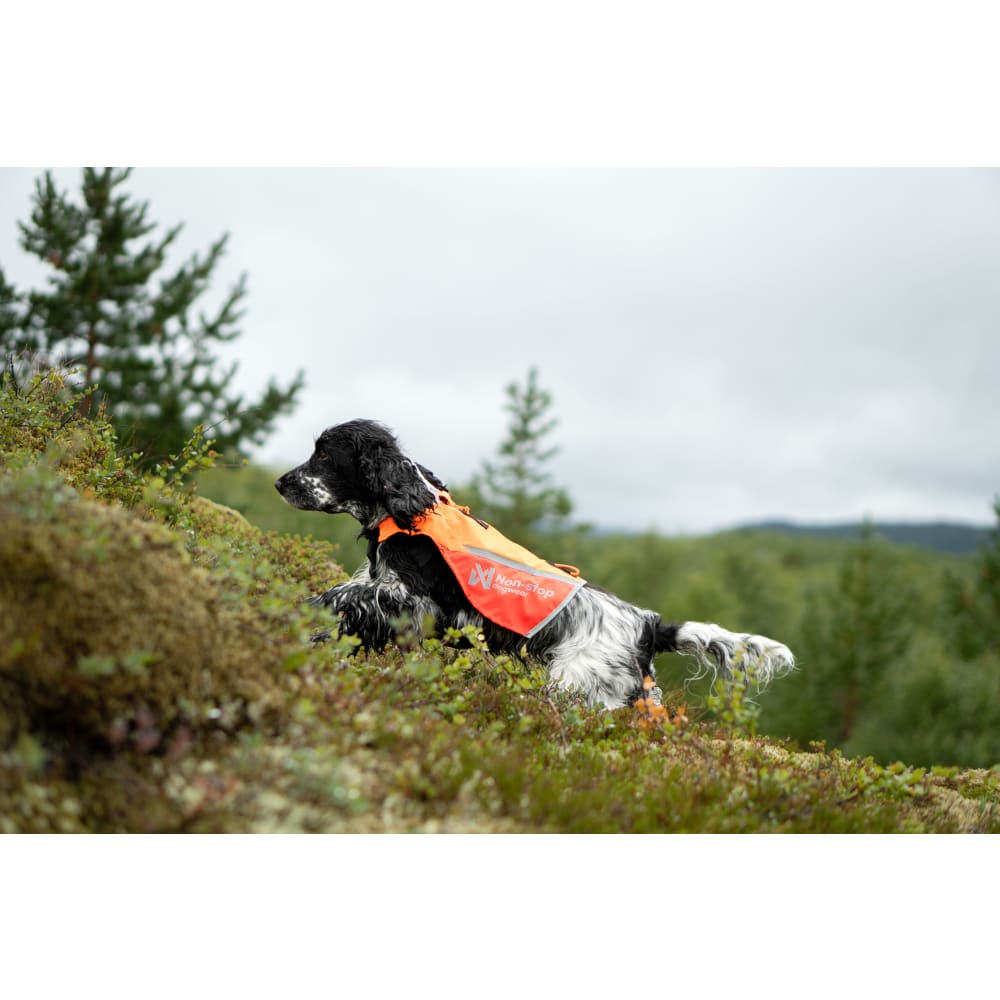 Protector vest 2.0, orange