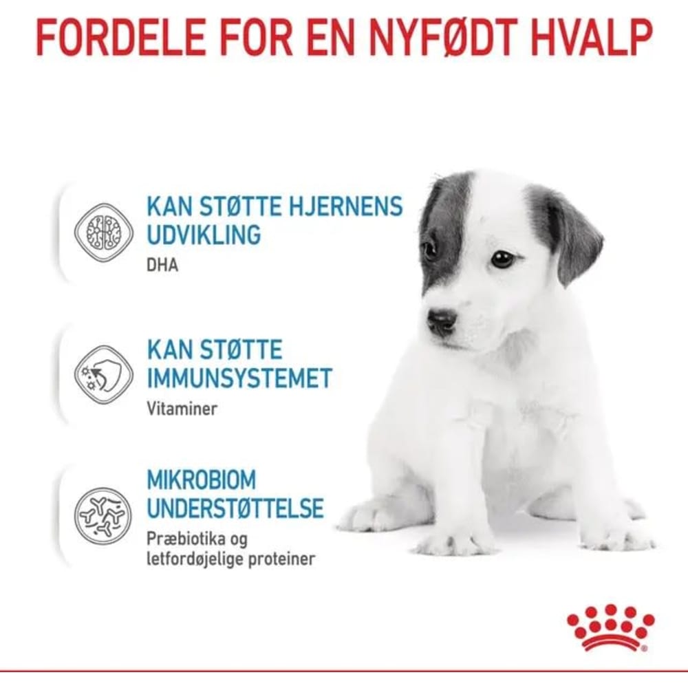 Babydog Milk, Mækeerstatning hvalpe 400g