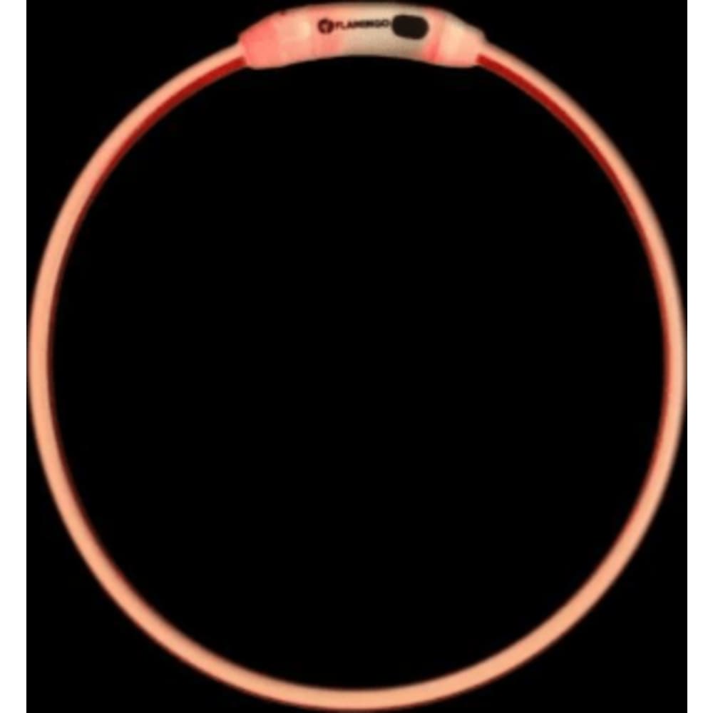 LED Halsbånd Hund Raina, multicolor