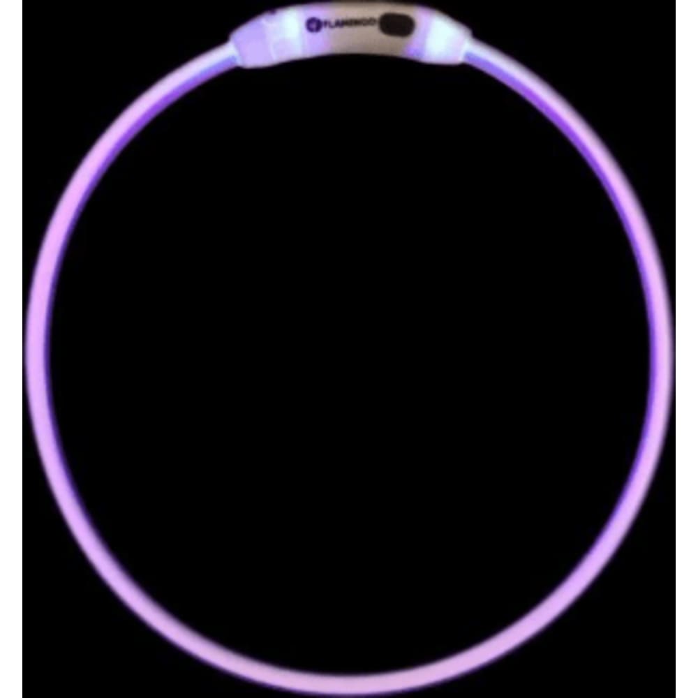 LED Halsbånd Hund Raina, multicolor