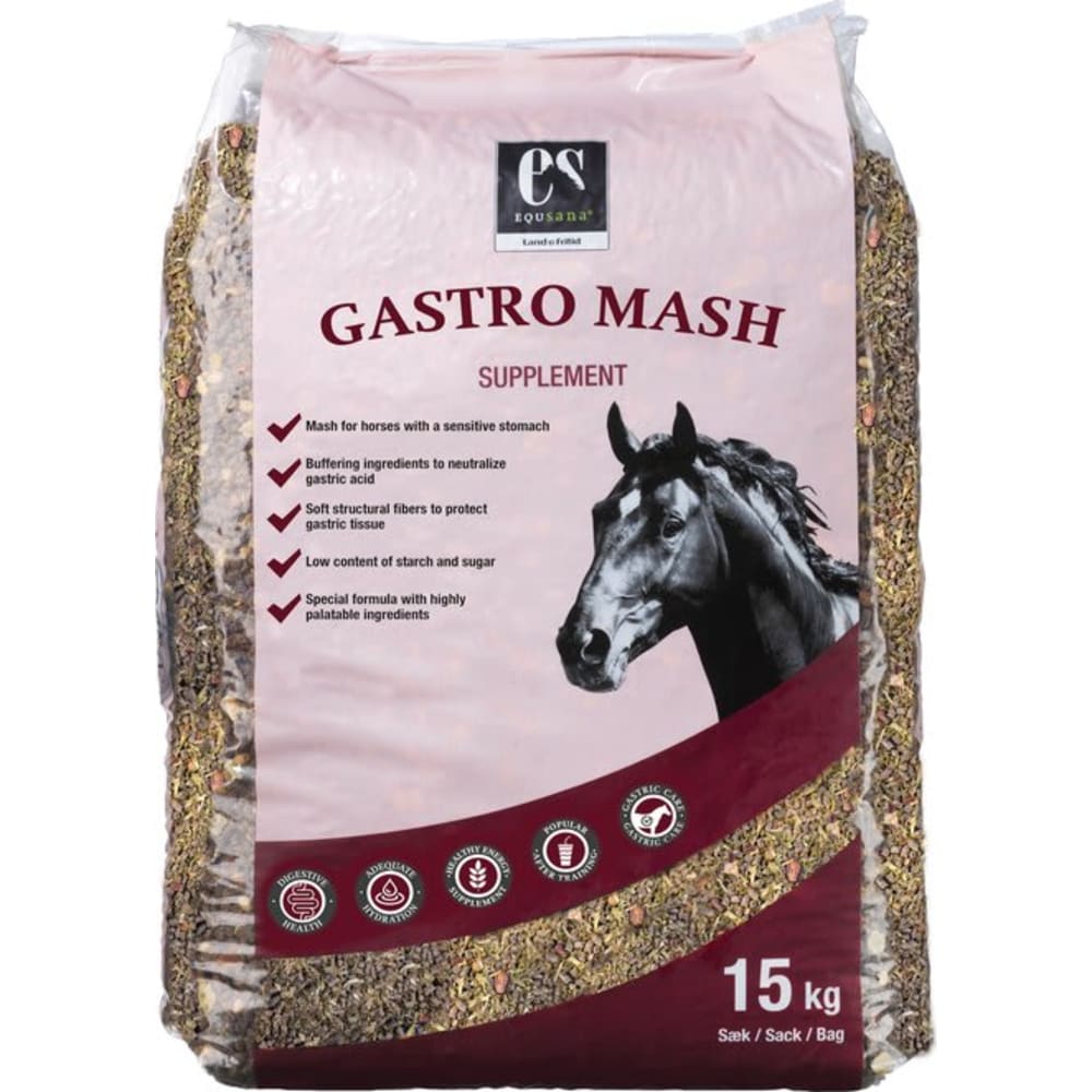 Gastro Mash 
