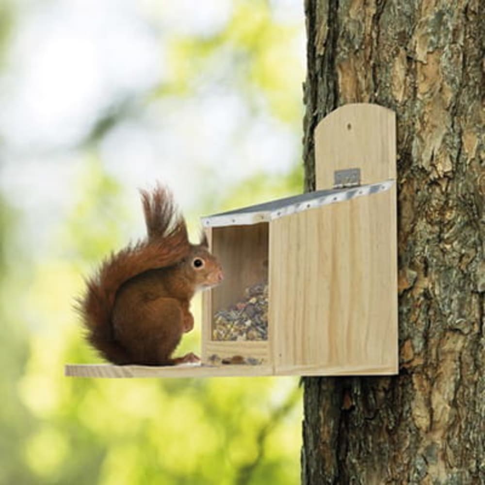 Nøddeautomat M ed Zinktag til egern