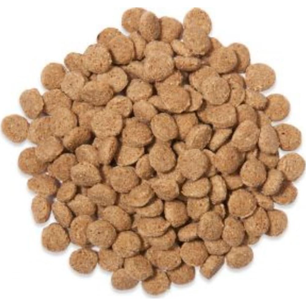 Mr.J Advance Hamster & Ørkenrotter 750g