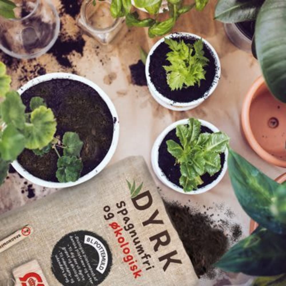 Spagnumfri øko potte & krukkemuld