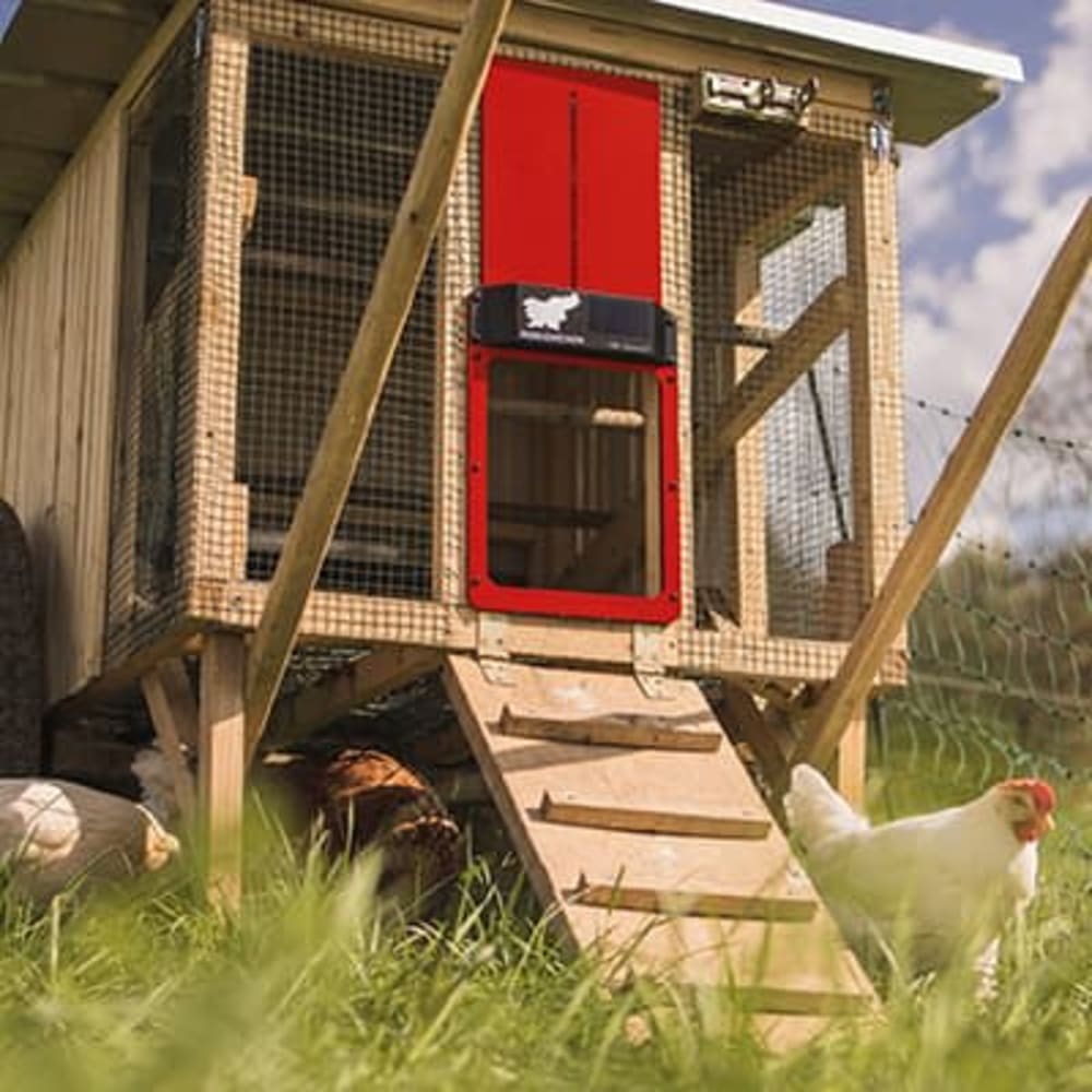 Hønsedør Run-Chicken Auto Eternal