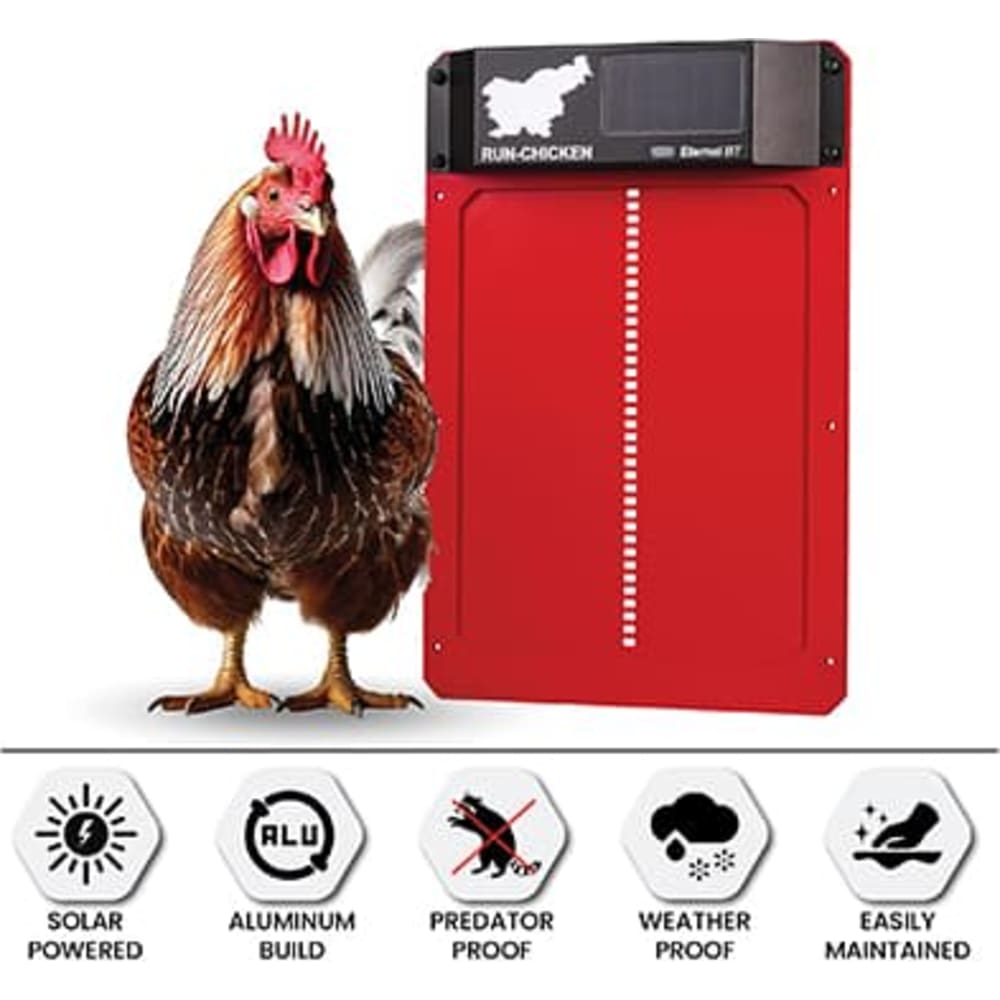 Hønsedør Run-Chicken Auto Eternal