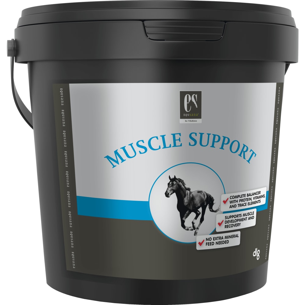Muscle Support 