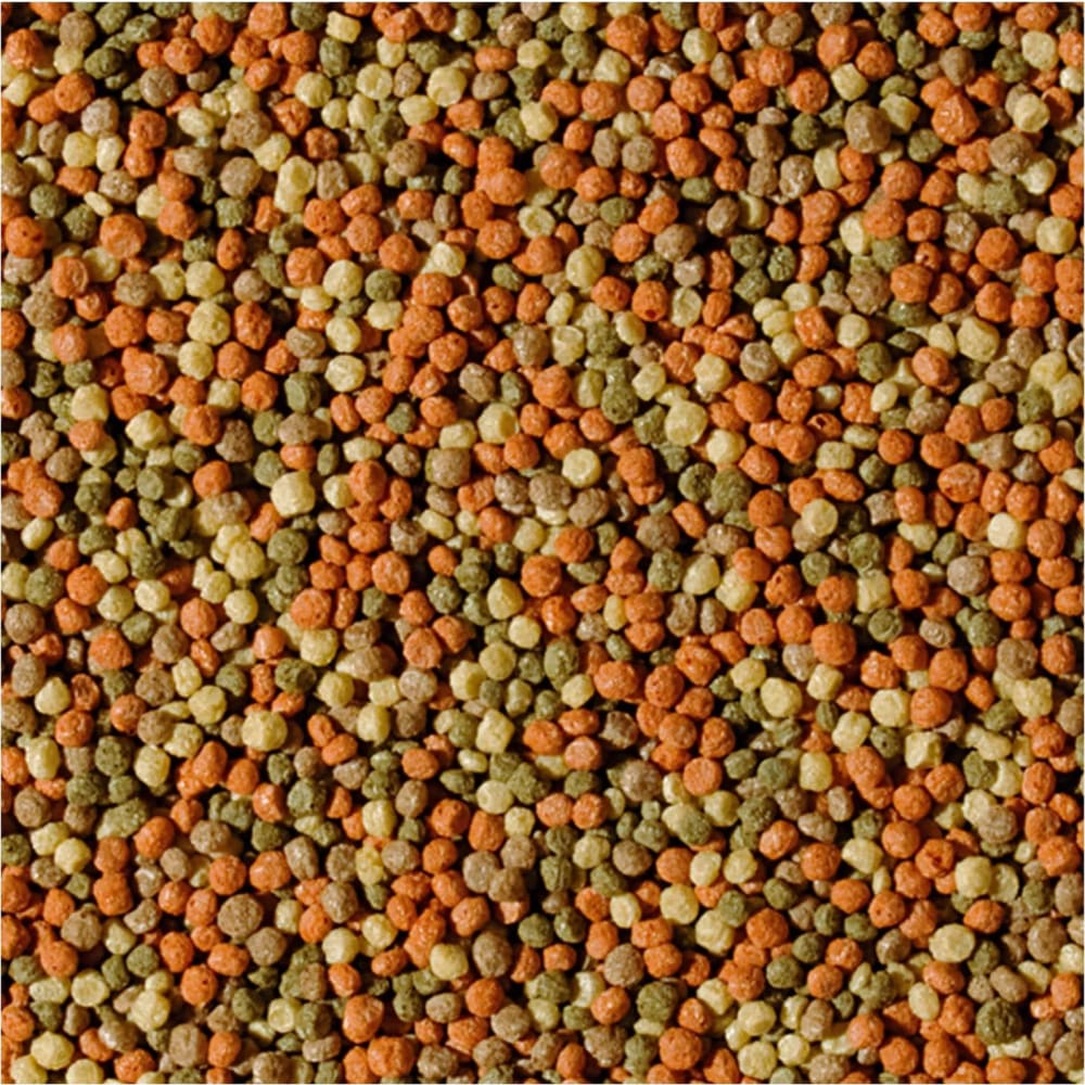 Pond Koi farve adult Size M 10 L