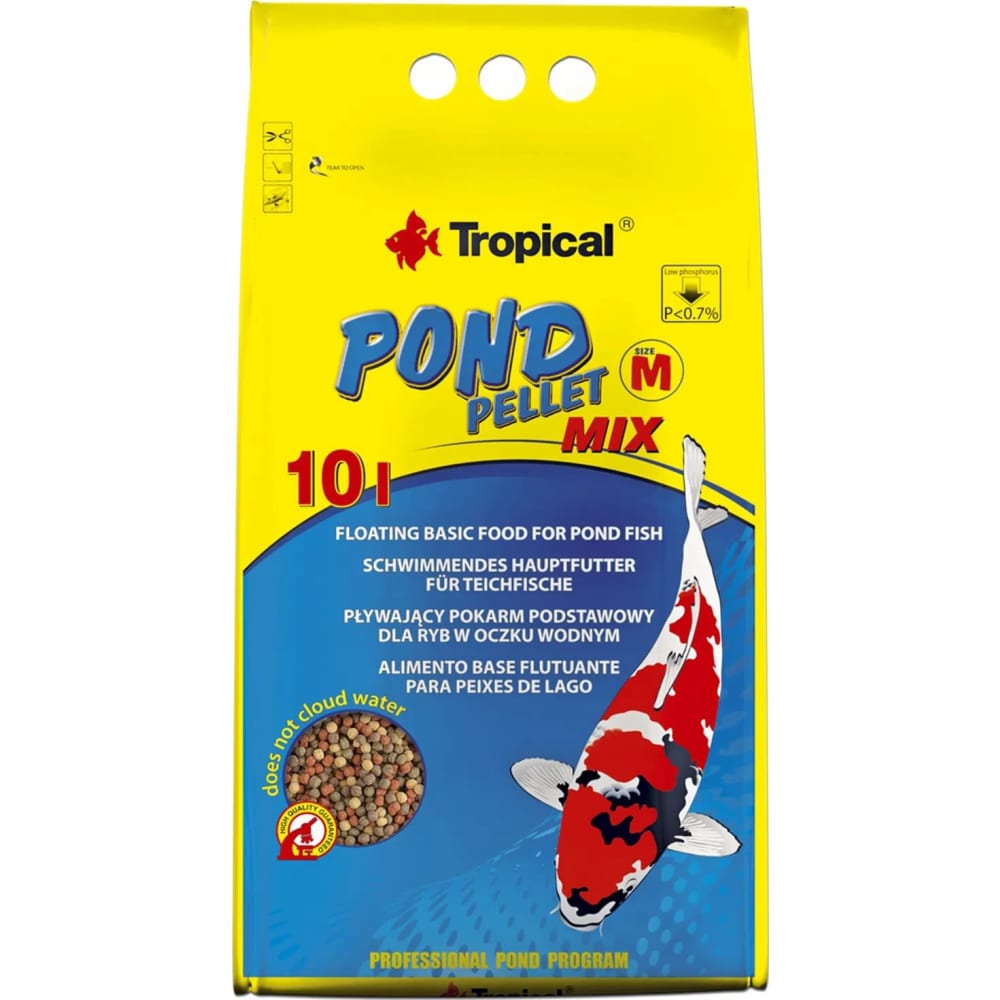 Pond Koi farve adult Size M 10 L