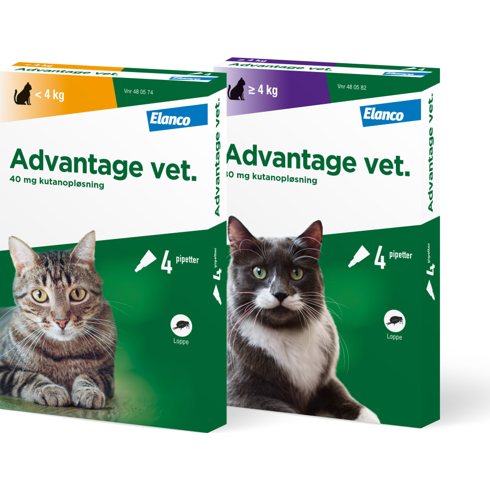 Advantage Loppemiddel til kat Website product Dynamic Catalogue 6 - Farmpack 6.1 - Farmpack 6.1.2 - Farmpack Vilofoss 6.1.2.1 - Vetinærartiker 1210 - V-mrk. & Vet.artikl. General Specifications Marketing Media Relations