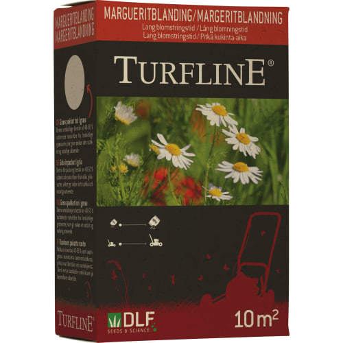 Turfline Margueritblanding - 100 g