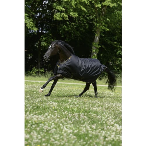 Bucas Irish 150 - overgang/sort