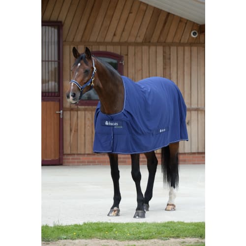 Bucas Shamrock Power -  cooler/navy
