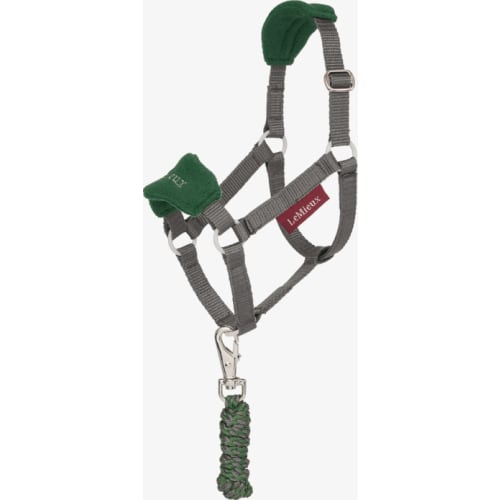 Kæphest LM Hobby Horse grime Blossom