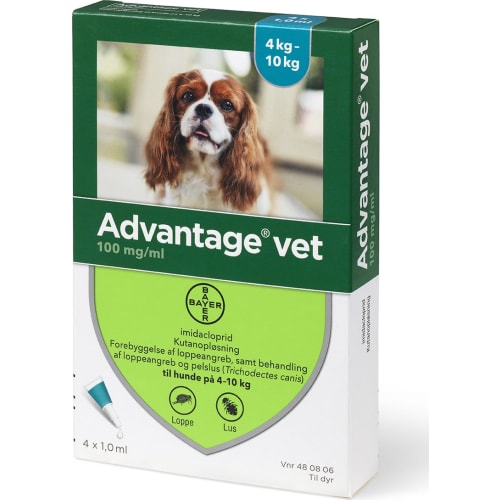 Advantage loppemiddel hund 4-10 kg - 4x10 ml