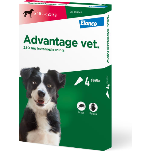 Advantage Loppemiddel til hund