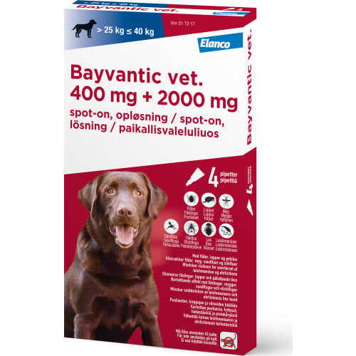 Bayvantic Vet, hund