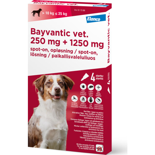 Bayvantic Vet, hund