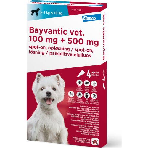 Bayvantic Vet, hund