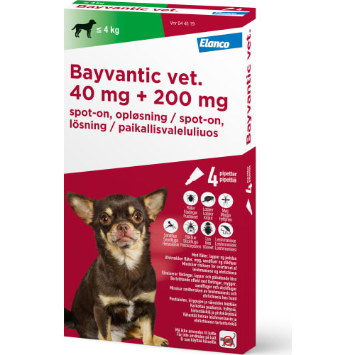 Bayvantic Vet, hund