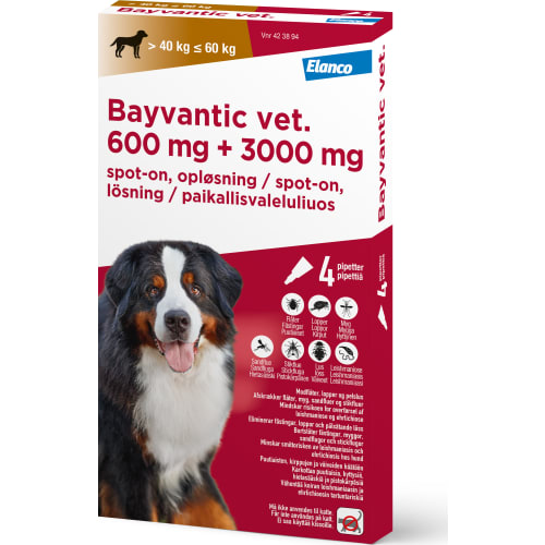 Bayvantic Vet, hund