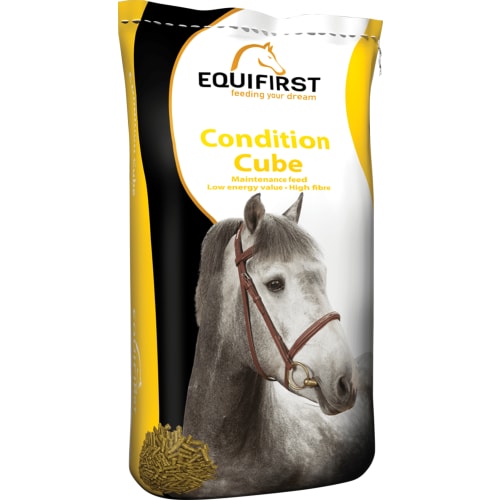 Equifirst Healthy Mix, 20 kg